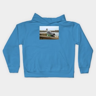 Seagull Walks Along Beach Kids Hoodie